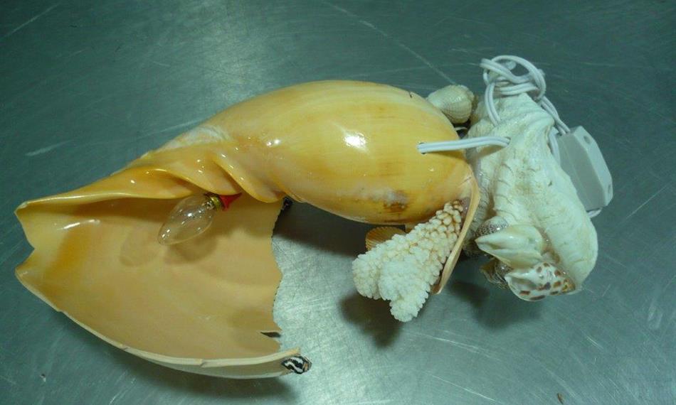 2014-7-7-13204. foto.jpg